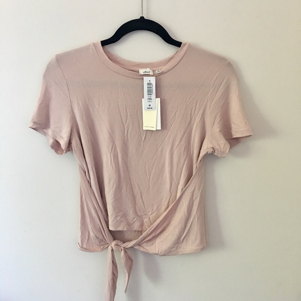 Aritzia Wilfred T-shirt